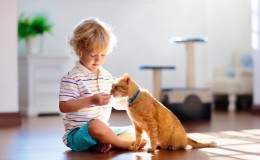 Evcil Hayvanınız İçin Yaşam Alanı Tasarlayın