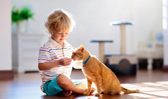 Evcil Hayvanınız İçin Yaşam Alanı Tasarlayın