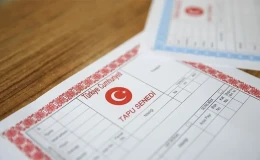 Kooperatif Tapulu Arsa Ne Demektir?