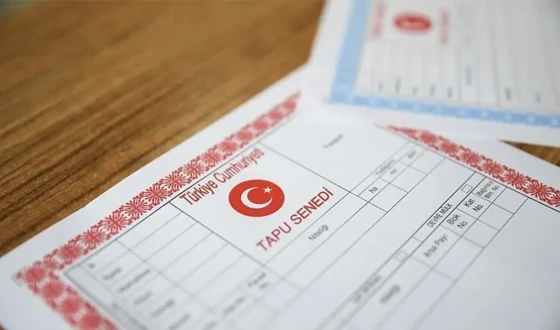 Kooperatif Tapulu Arsa Ne Demektir?